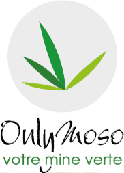 OnlyMoso France